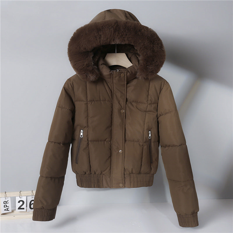 Thickened Fleece Jacket, Fashionable And Petite Hooded Short Long-sleeved Cotton Jacket