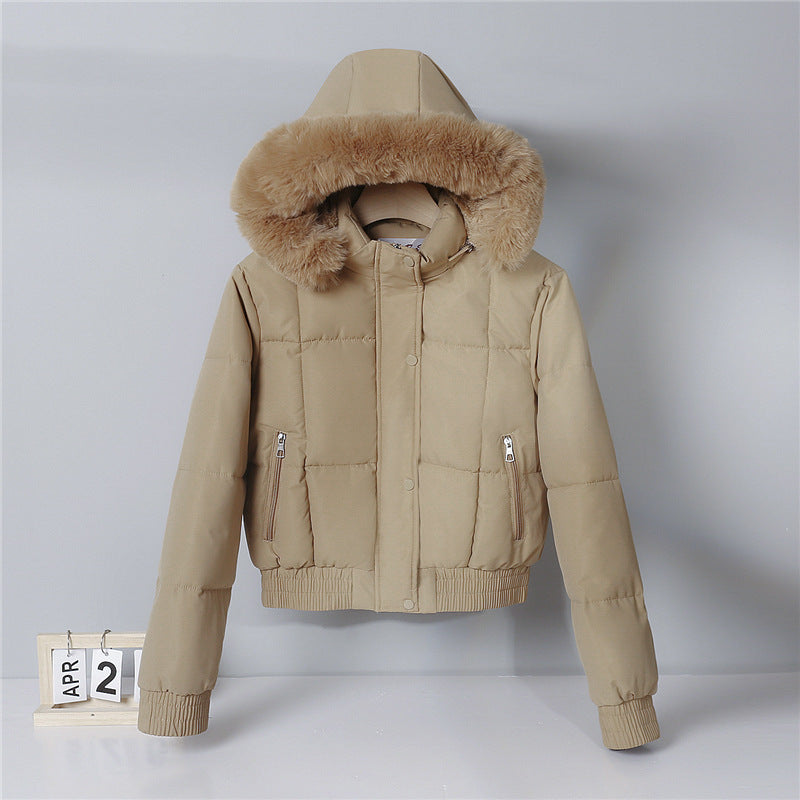 Thickened Fleece Jacket, Fashionable And Petite Hooded Short Long-sleeved Cotton Jacket