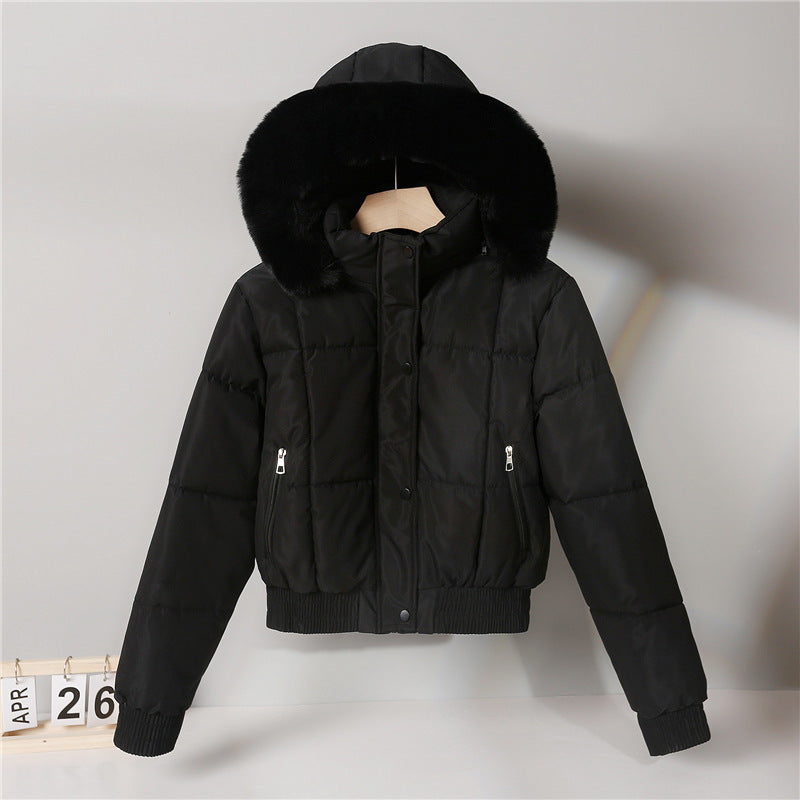 Thickened Fleece Jacket, Fashionable And Petite Hooded Short Long-sleeved Cotton Jacket